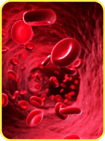 Heart Health Booster