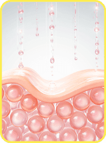 Anti-Aging and Skin Health Support